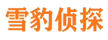 明光调查公司